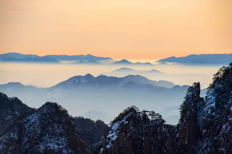 大美黄山之云海雾松日出