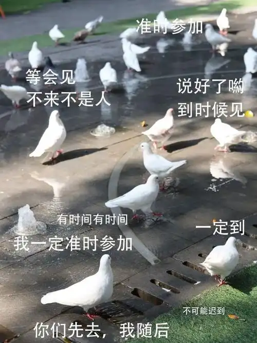 佛山|创产|鸽子|创意园_网易订阅