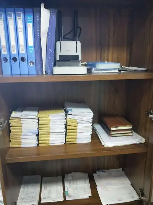 文件柜摆放资料