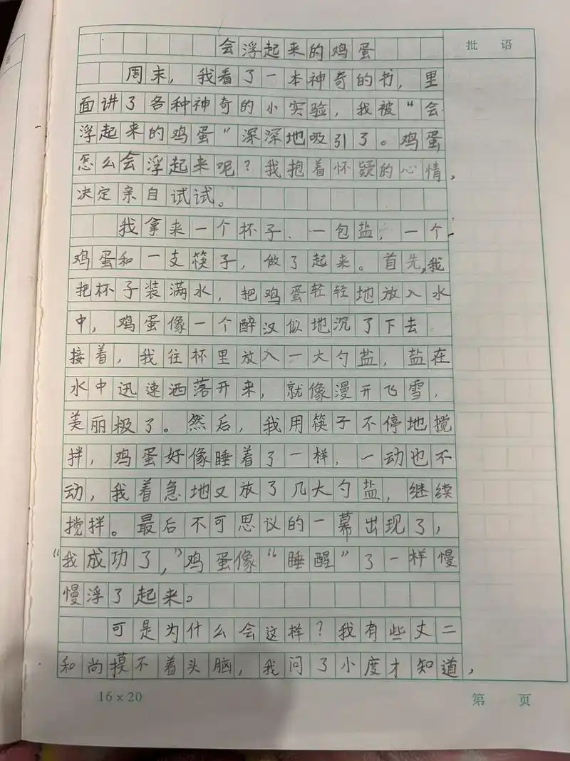 三下语文作文:会浮起来的鸡蛋 三年级下册第四单元习作/作文,我做了