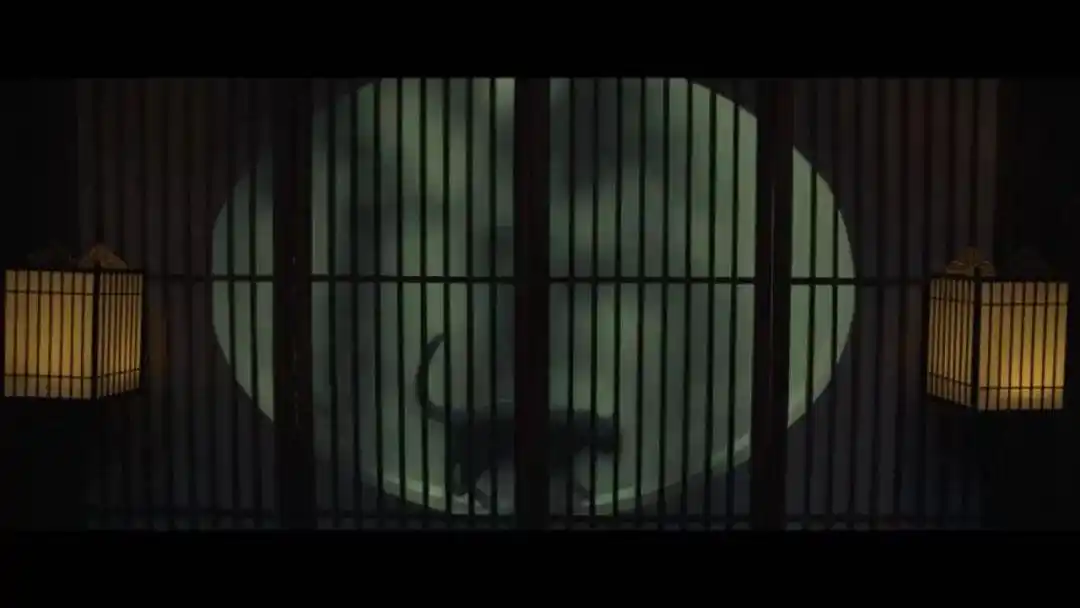 电影里各种各样的黑猫