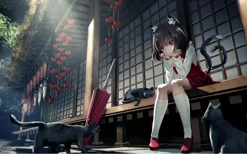 猫耳娘超清壁纸推荐~每日好图-1