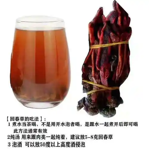 云南回春草不老粉顶天柱男性滋泡酒料茶起阳肉苁蓉 精品回春草 【500