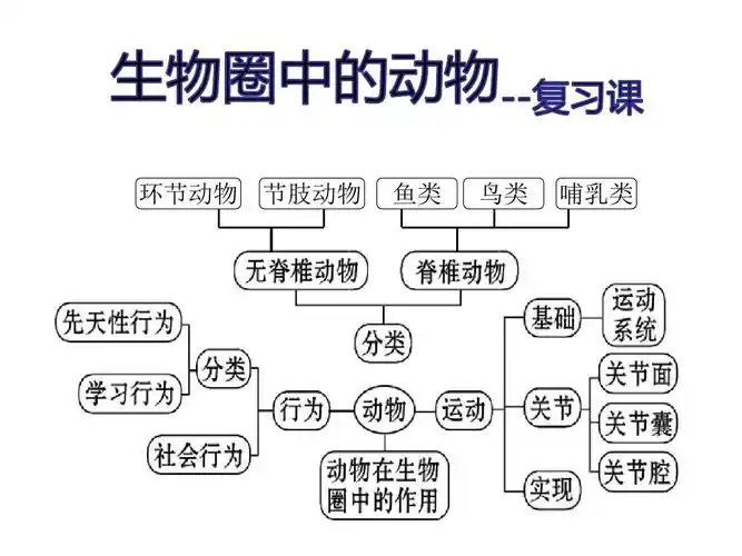 生物圈中的动物复习课