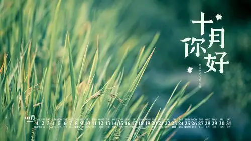 2020年10月稻穗风景图片日历壁纸
