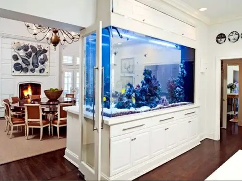 漯河订制大型鱼缸-漯河鱼缸定做-游泳池制作-水族箱定制-海鲜池制作