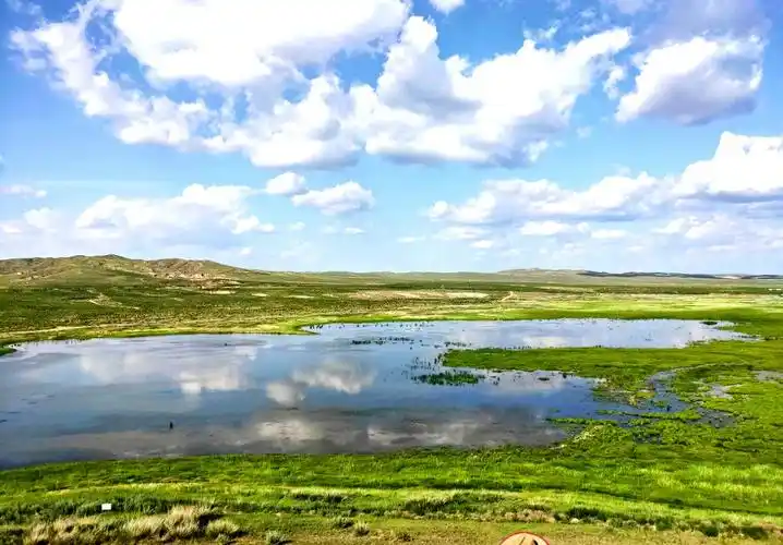 站在观景台上,可以看到锡林河畔全景.   本来锡林河是这样的.