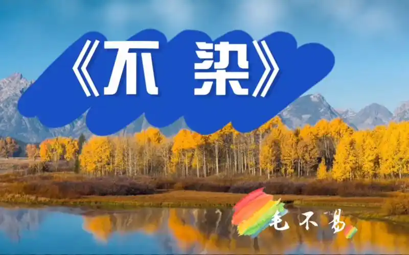 毛不易《不染》:心碎之声,震撼人心