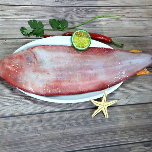 新鲜野生玉秃鱼龙利鱼比目鱼踏板鱼舌头鱼邋遢鱼宁波舟山海鲜水产