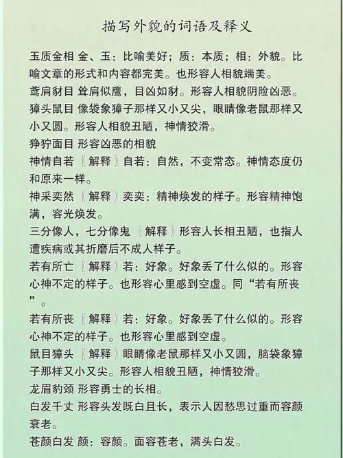 描写外貌的词语及释义