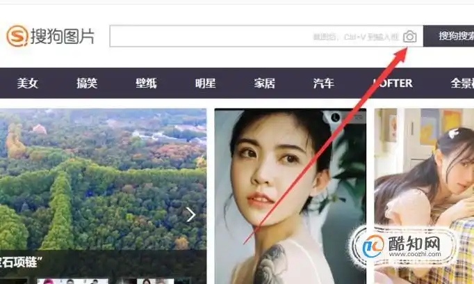 怎样用图片搜索图片优质
