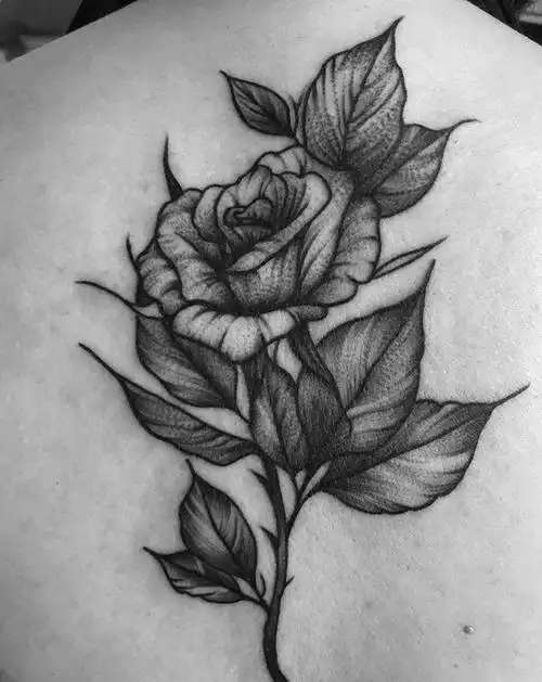 女生背部-玫瑰纹身图片_背部点刺花纹身图案