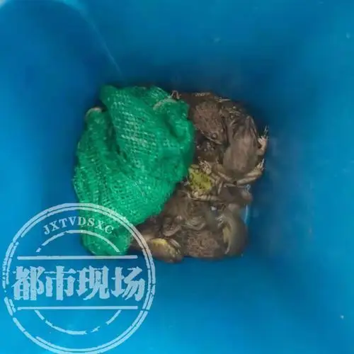 抚州一男子在田里忙了一夜,被民警抓了