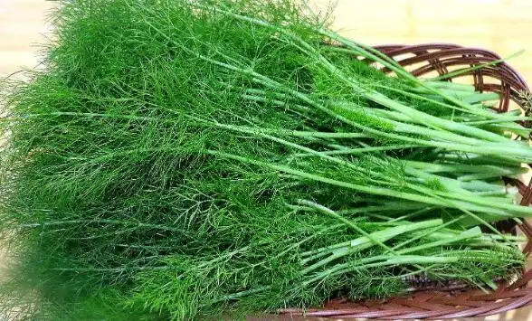 小茴香小茴香图片