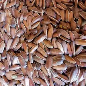 云南特产原味红皮生瓜子葵花籽孕妇坚果休闲零食农家自种新货