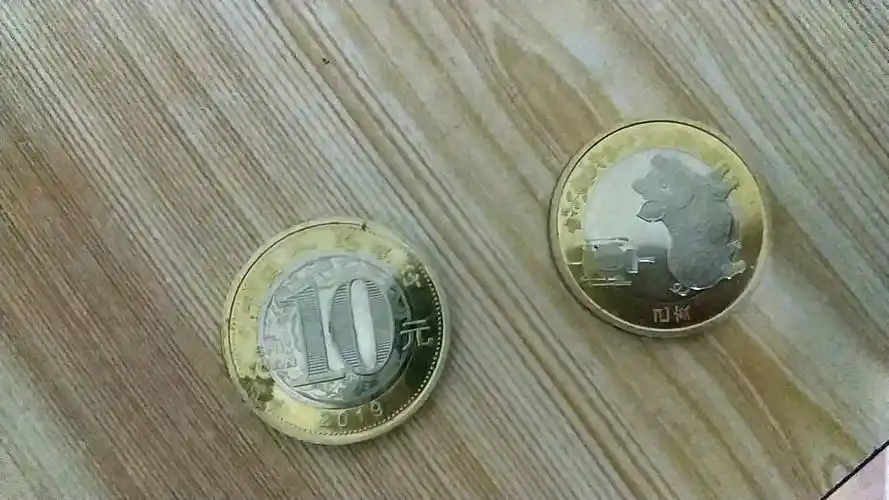 10元,新版硬币,没见过赶紧来看看