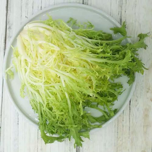 苦菊新鲜苦细叶苦叶生菜健身轻食生菜沙拉食材500g即食蔬菜沙拉菜