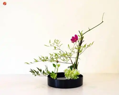 招募日本花道课程带你体验不同于中国花艺的插花乐趣