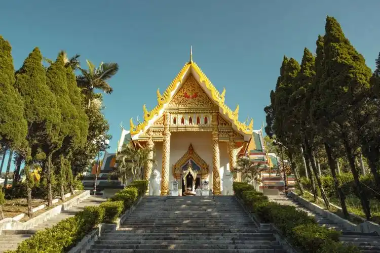 泰佛殿萨瓦迪卡61打卡