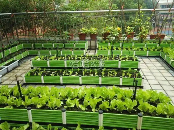 楼顶种菜设备如何加盟代理?代理费多少钱?