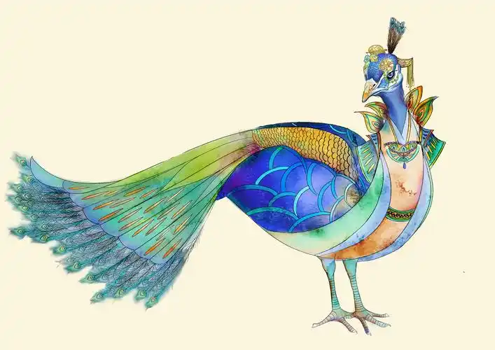 肥孔雀 |插画|商业插画|羊之木 - 原创作品 - 站酷 (zcool)