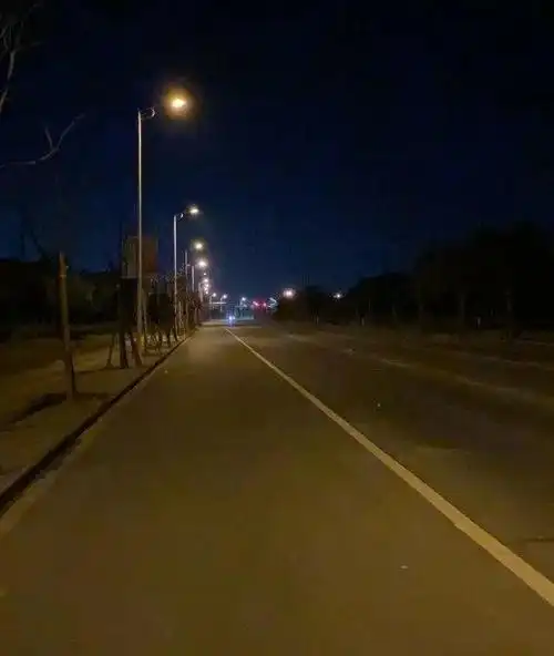 成了led路灯,庄行镇,柘林镇,金汇镇,西渡街道等地的夜晚"明亮"了不少