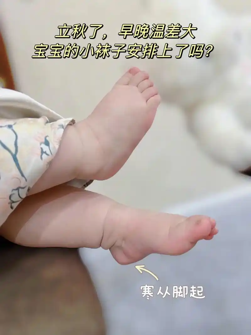 婴儿长绒棉无骨中筒袜