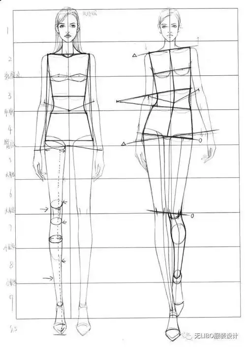 今天给大家准备了一批优质精选服装人体线稿模板给大家参考.快收藏