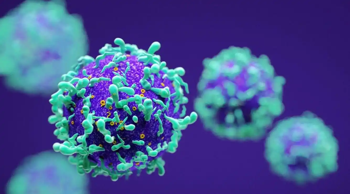 欢喜!hpv是什么病毒图片"肃然起敬"-瑞康博客