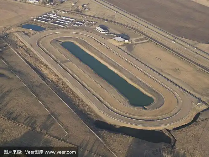 航拍视角,马,跑马场,赛马,水平画幅