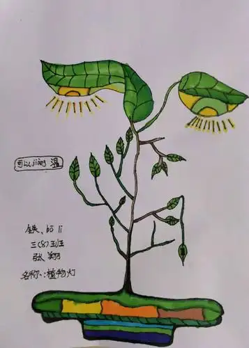 课堂习作之三年级《台灯设计》