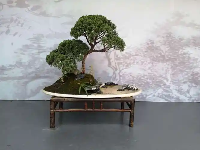 苏派盆景秀焦山