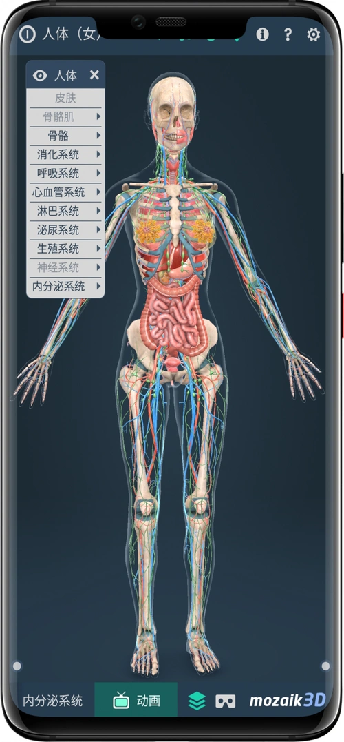 3dbody 一款支持安卓苹果的人体解剖类软件,具有3d仿真效果(图9)