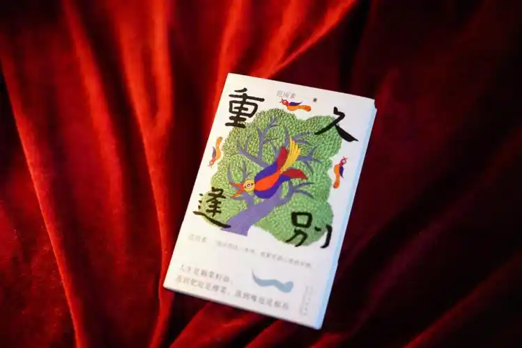 家政工作家范雨素新书久别重逢出版了