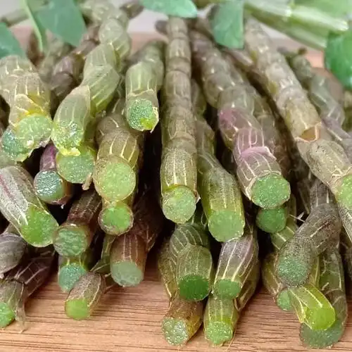 2.品种:原种霍山铁皮石斛仿野生种植.1.