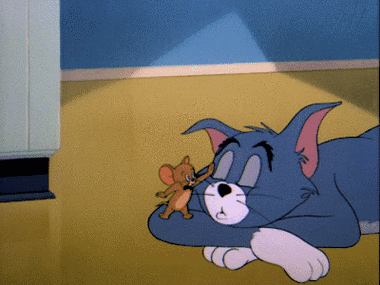 老汤姆图片_老汤姆动态图_老汤姆表情包gif动图下载_soogif