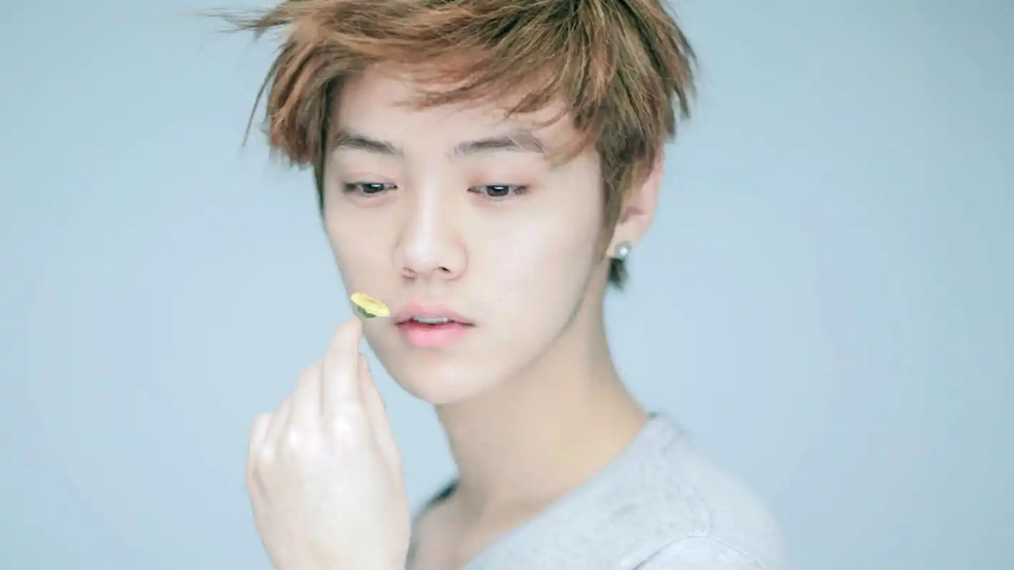 鹿晗《甜蜜蜜》mv帅气桌面壁纸