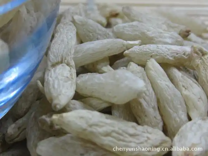 批发销售麦冬 寸冬 麦门冬 - 苗木批发交易网