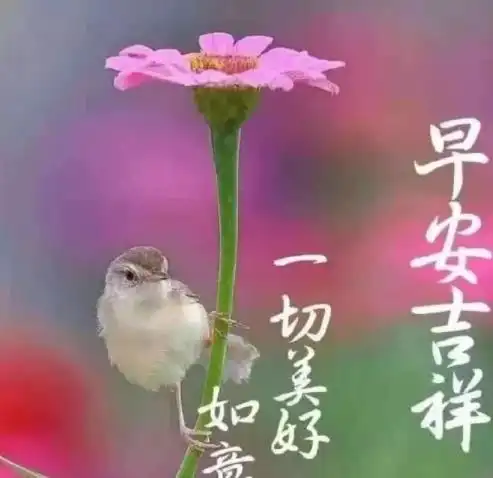 安康如意早安图片大全,早安吉祥2022最新图片-528时尚网