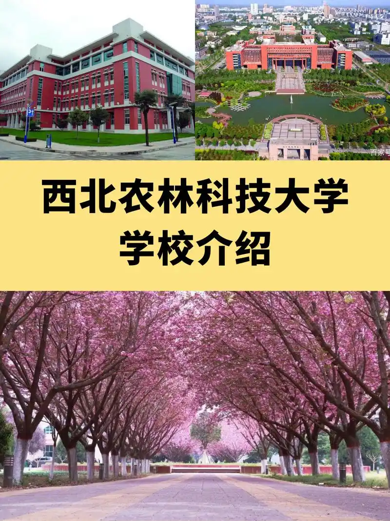 西北农林科技大学的介绍 谜团一:西农有多大 没错没错!