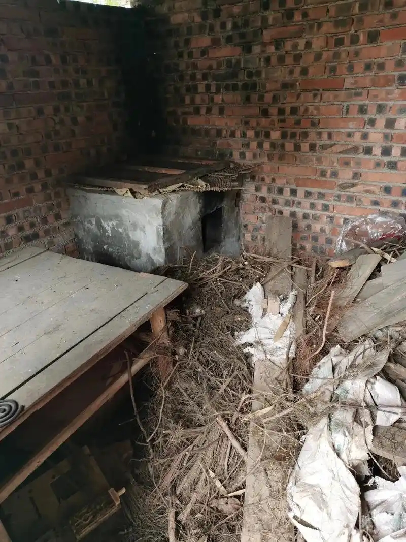 过着表面光鲜,日子寒酸的生活在城市,好想儿时的日子,在乡下尽 - 抖音