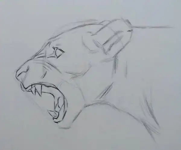 绘画详解伦杰老师教你绘画凶猛母狮