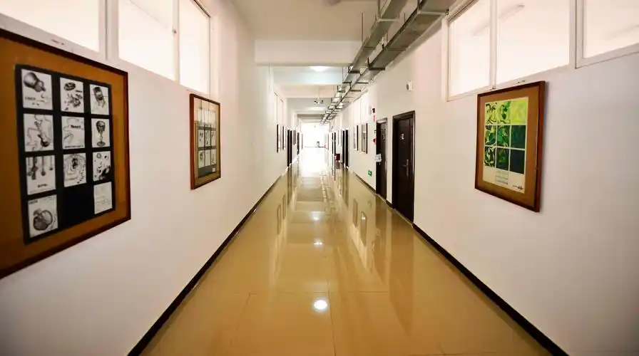 教室走廊