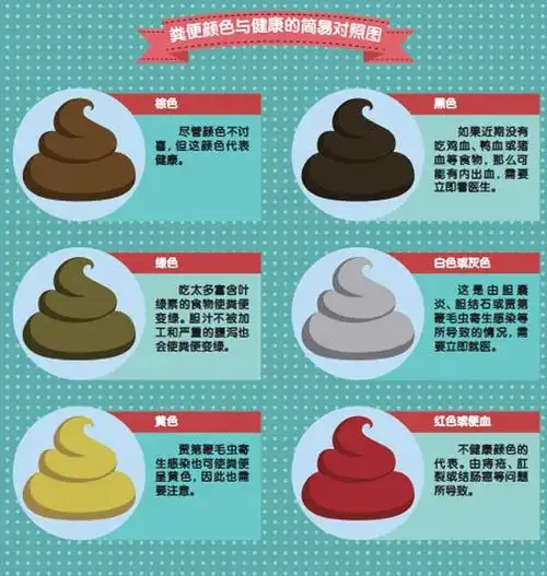 大便为什么是棕色的?