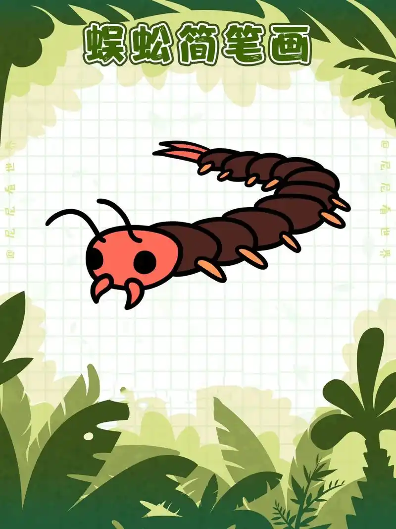 66蜈蚣简笔画蜈蚣卡通 蜈蚣scolopendridae为陆生节肢动物,身体由许多