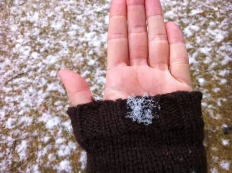 雪花 照片素材(图片) | photoac