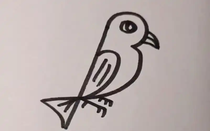 123画小鸟,一看就会!