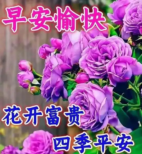 早安暖心祝福图片问候祝福语,愿我们平安健康,幸福永远!早安吉祥!