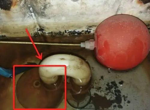 谁知道这个马桶哪个孔是下水的