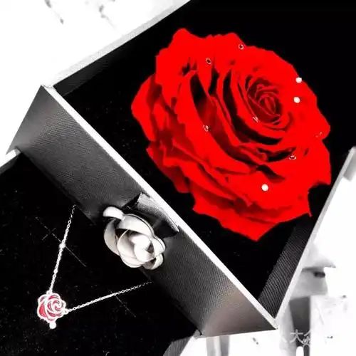 shadow_7121上传的图片